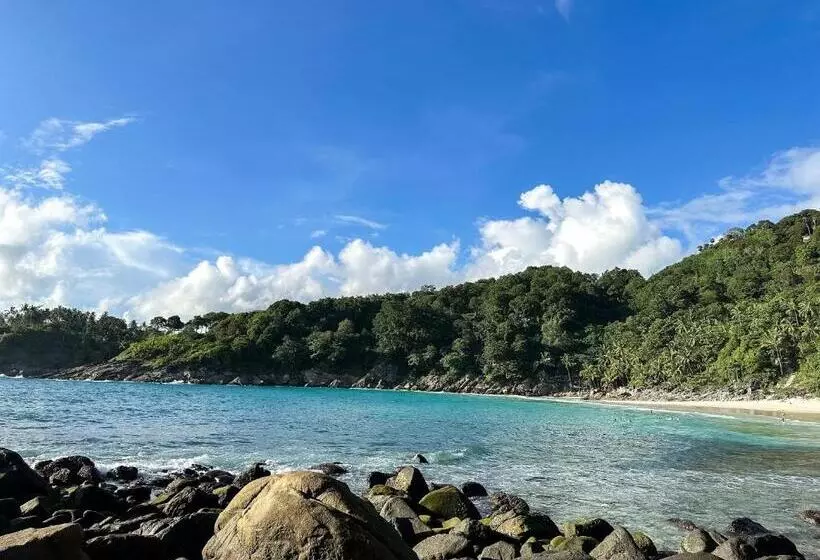 ペンション The Viva Patong