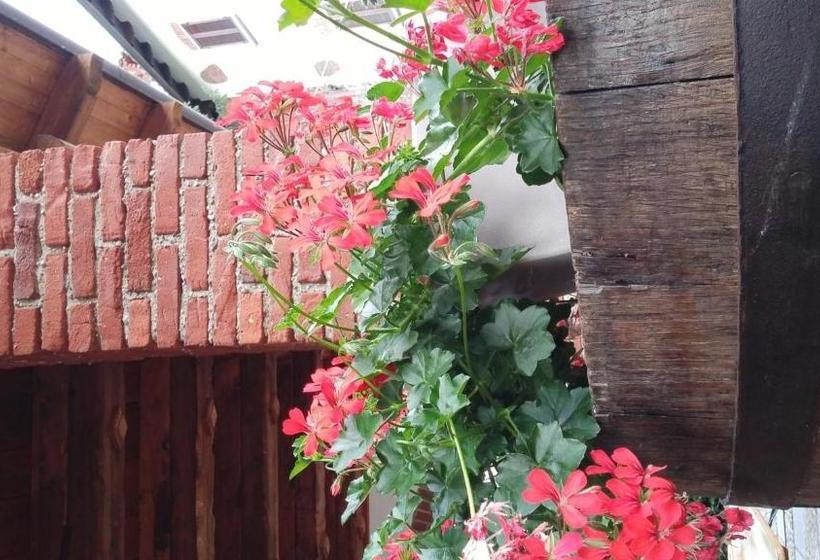 住宿加早餐  Relais Profumo Di Vino