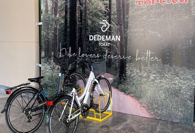 בית מלון כפרי Dedeman Tokat