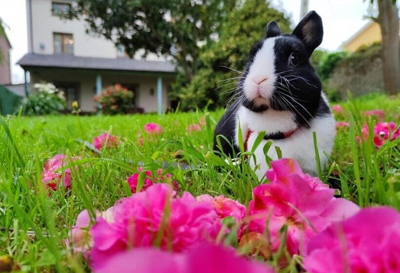 호텔 Las Casonas De Avellaneda