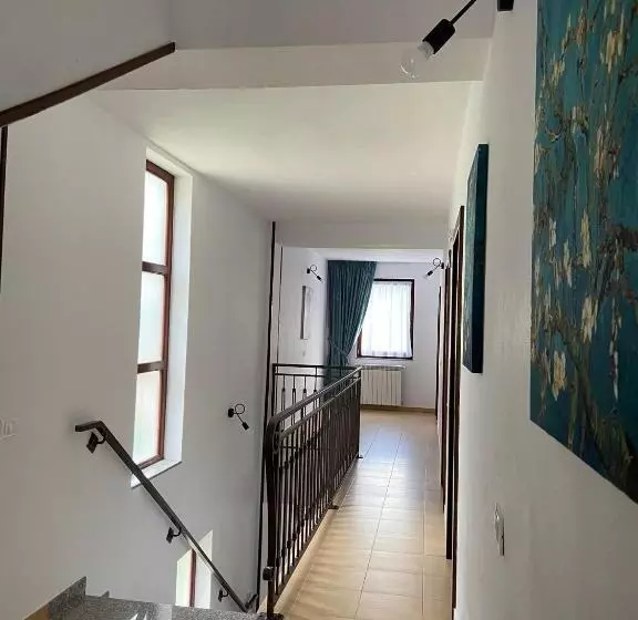 Pensjonat Casa Complex Borsa