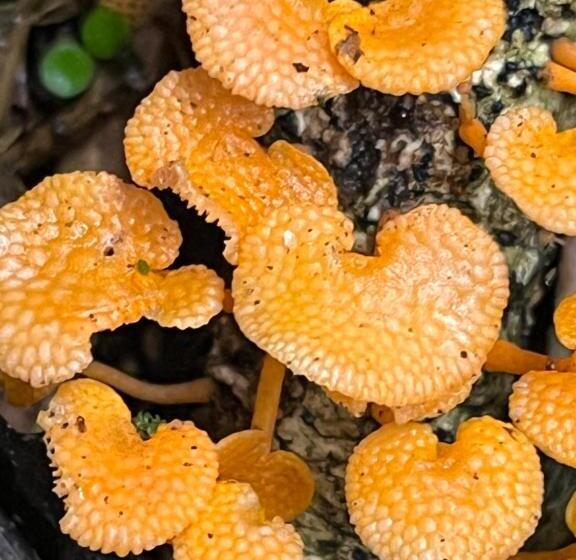 Bed and Breakfast Oldfields