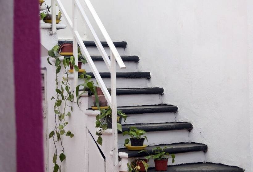 ユースホステル Taiyari Hostal