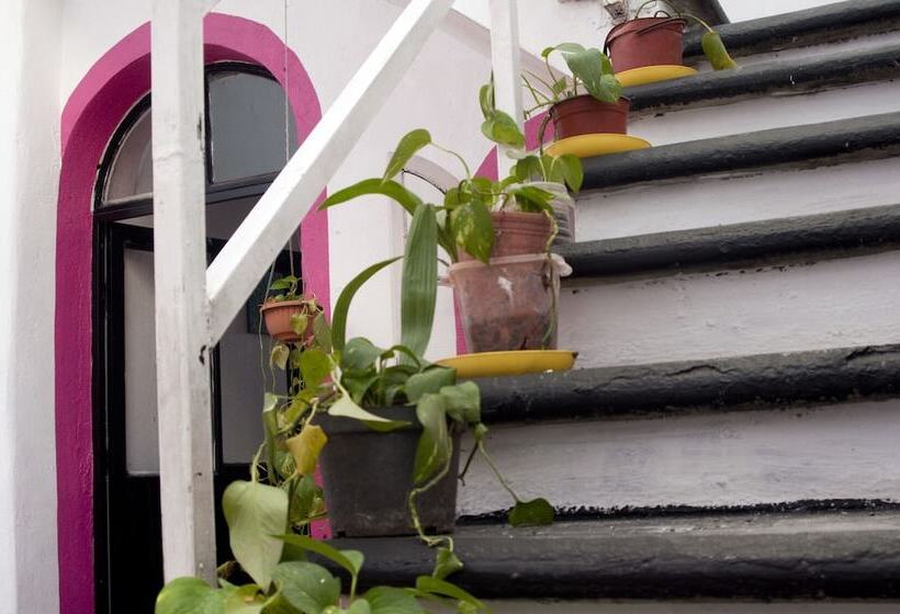 ユースホステル Taiyari Hostal