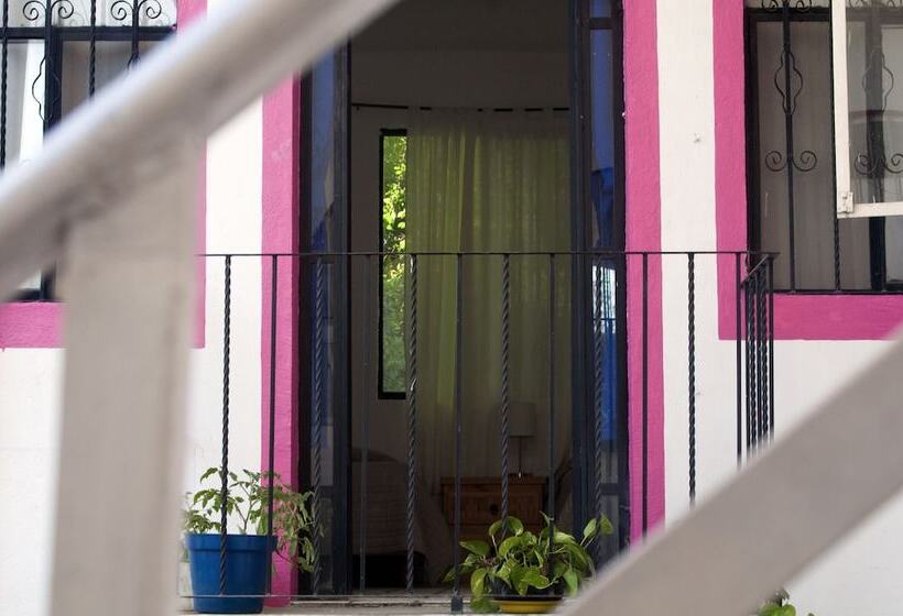 ユースホステル Taiyari Hostal