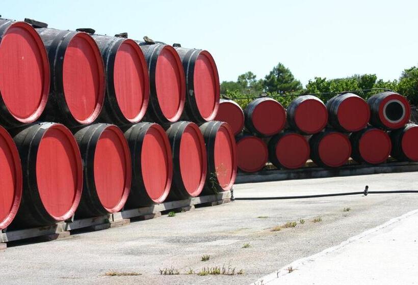 Отель Sur Le Quai