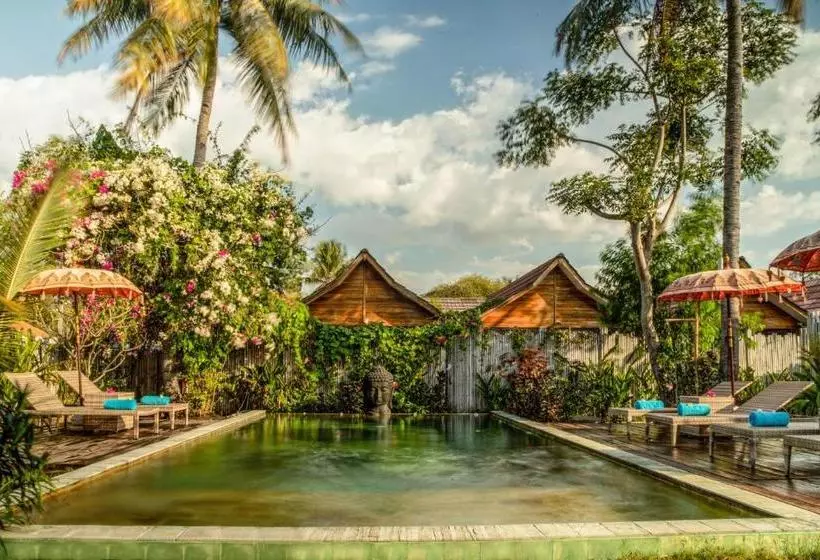 ホテル United Colors Of Gili