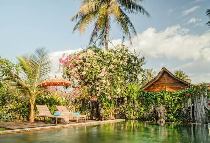ホテル United Colors Of Gili