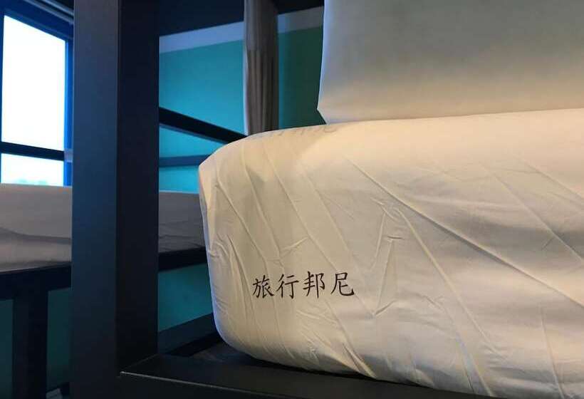 Tourist Bunny Hostel