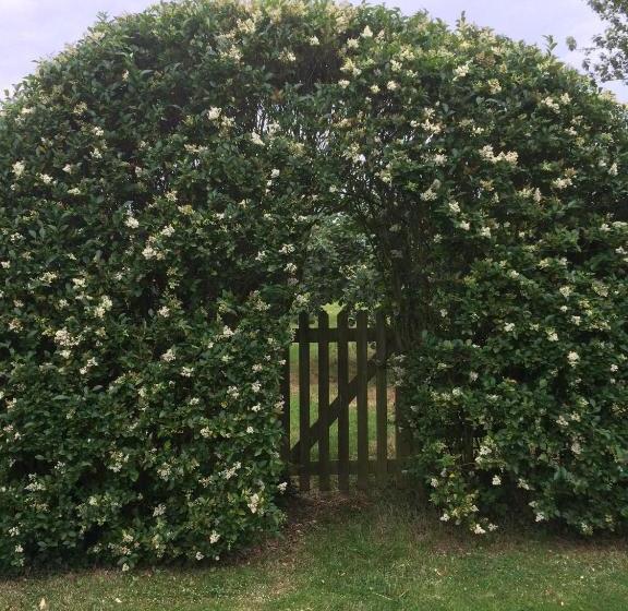 Bed and Breakfast Lime Trees Farm