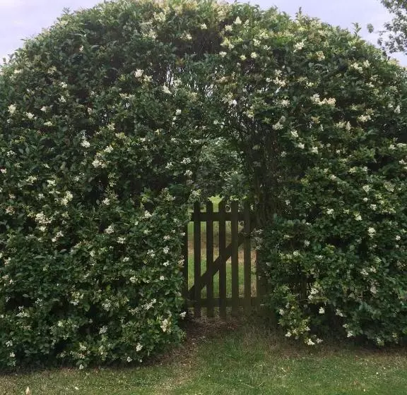 Aamiaismajoitus (B&B) Lime Trees Farm