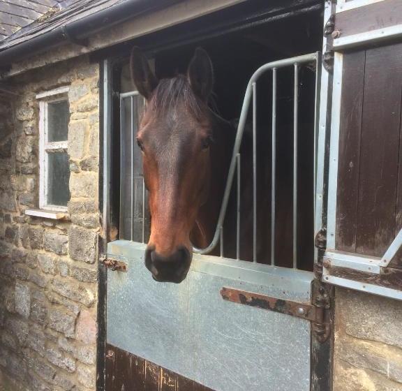 Bed and Breakfast Lime Trees Farm