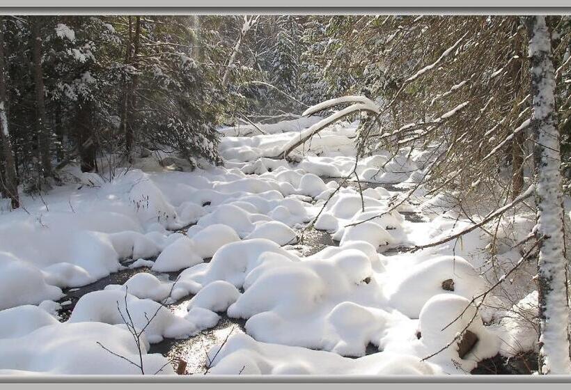 Gîte La Belle Aventure B&b