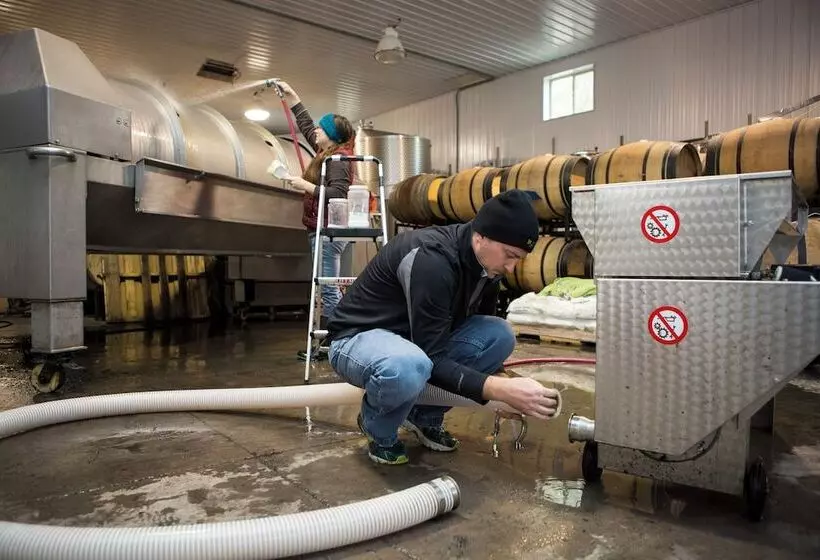 Hotelli The Benjamin