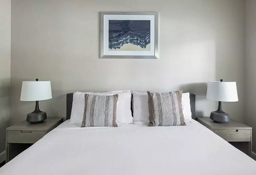 Riverpark Apartments By Barsala