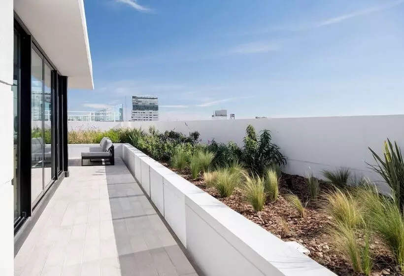 Top Rentals Nuñez
