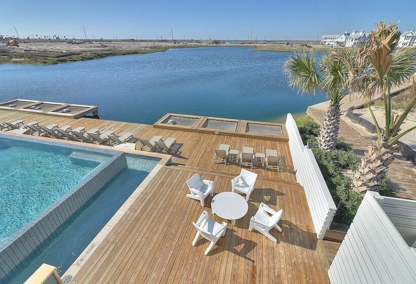 Whale Of A Time 154 Sou