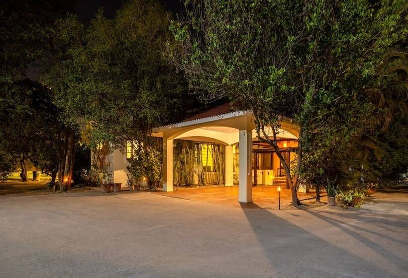 호텔 Citrus County, Hoshiarpur, Amã Stays & Trails