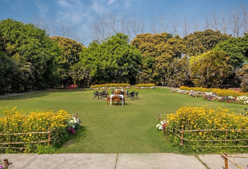 호텔 Citrus County, Hoshiarpur, Amã Stays & Trails