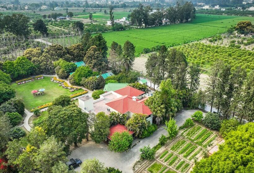 호텔 Citrus County, Hoshiarpur, Amã Stays & Trails