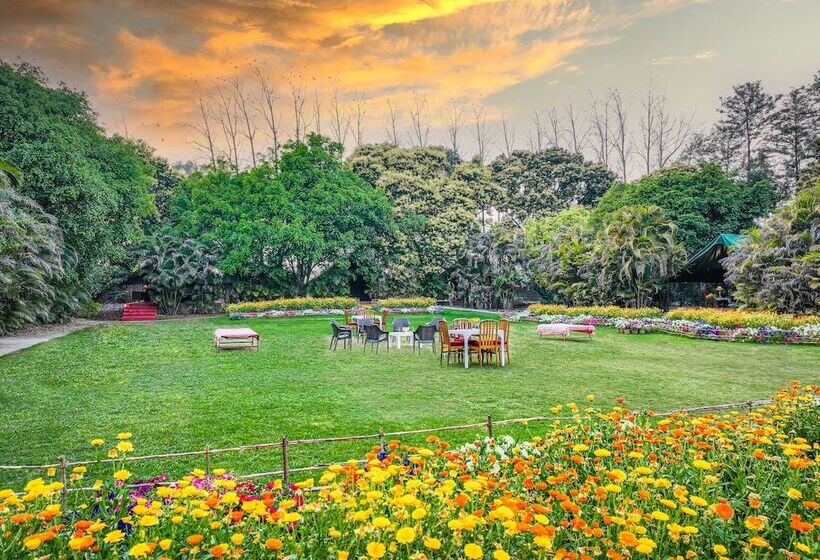 호텔 Citrus County, Hoshiarpur, Amã Stays & Trails