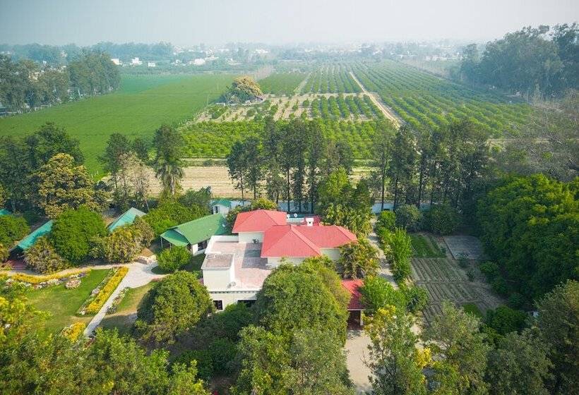 호텔 Citrus County, Hoshiarpur, Amã Stays & Trails