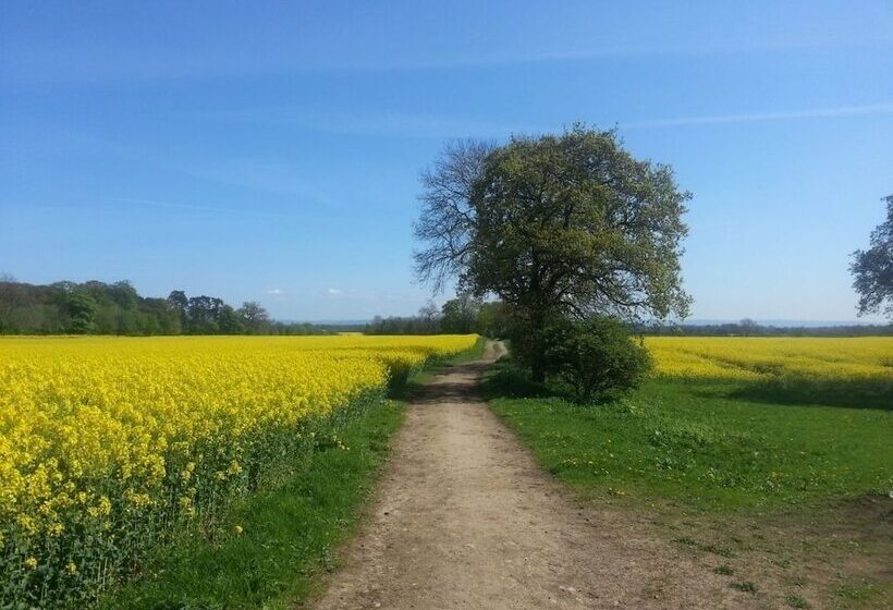 فندق Castle Arms Inn
