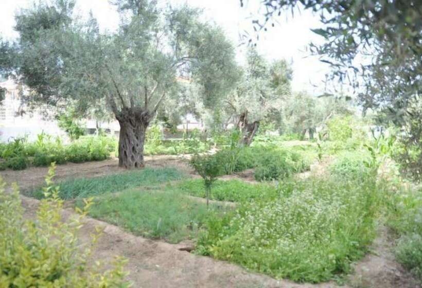 Lambada Hotel Altinoluk