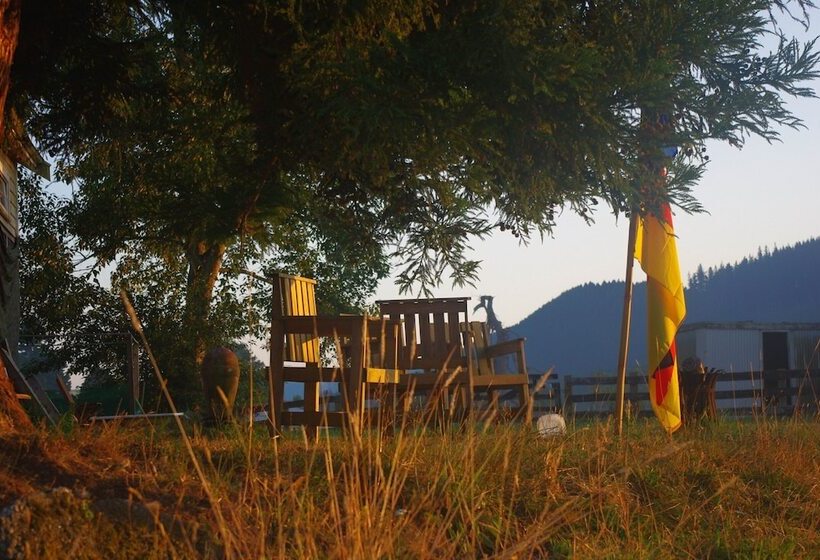 بنسيون Timber Trail Centre