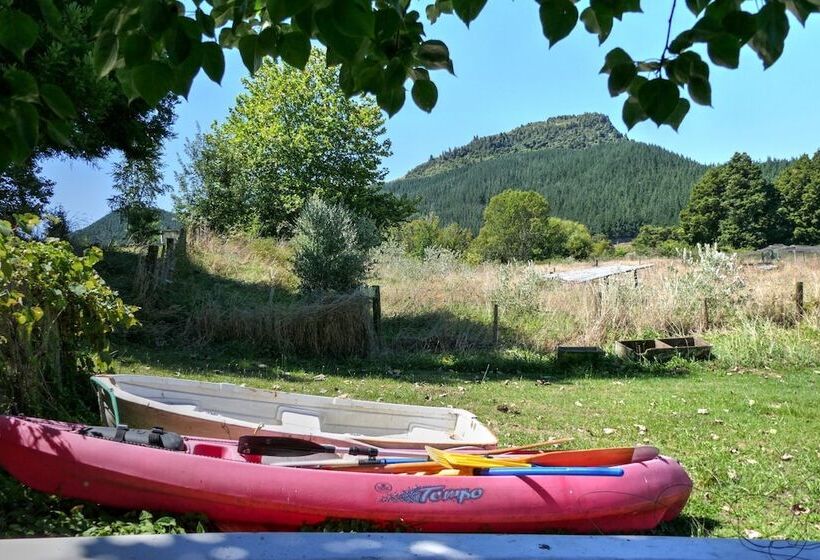 بنسيون Timber Trail Centre