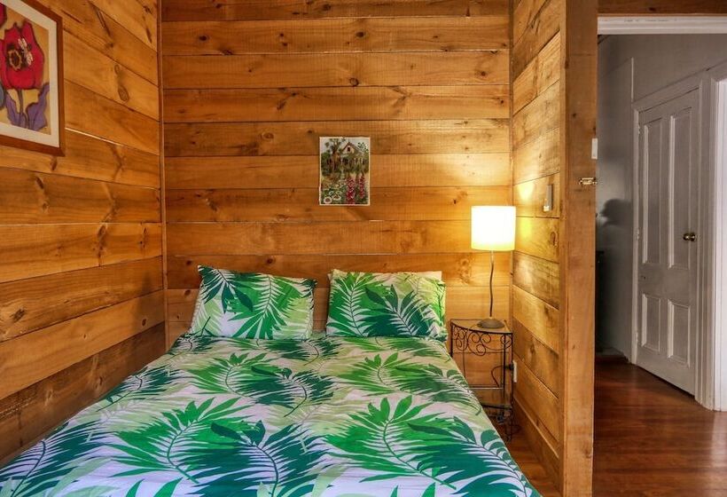 بنسيون Timber Trail Centre