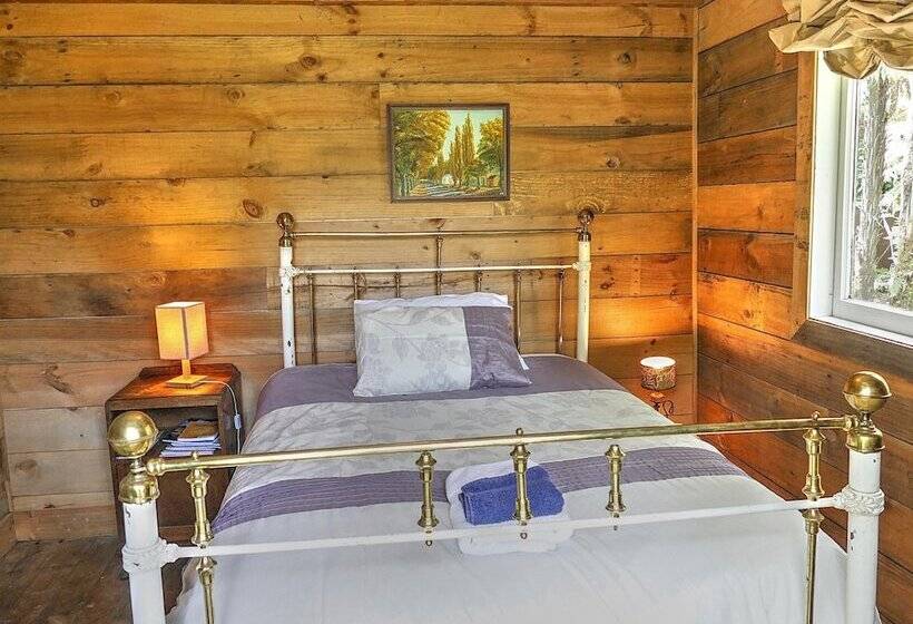 بنسيون Timber Trail Centre