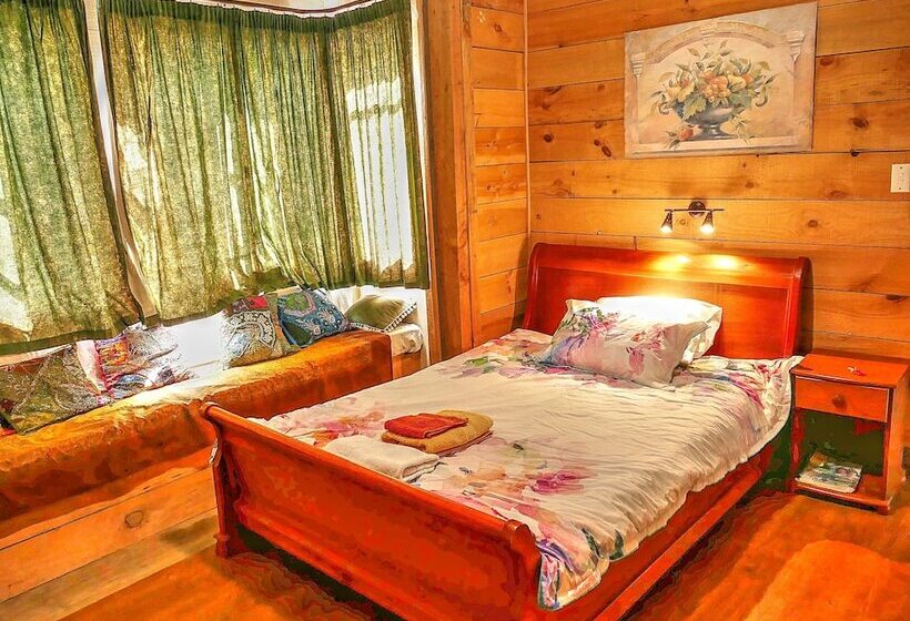 بنسيون Timber Trail Centre