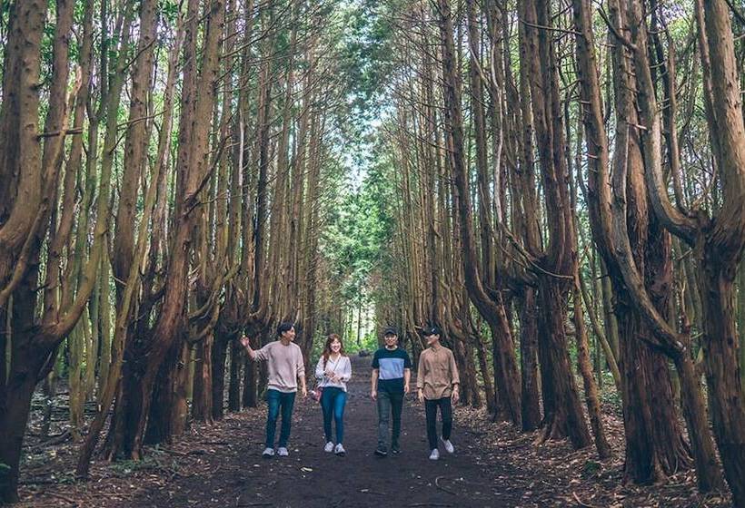 Pension (Hôtel basse catégorie) Woljeongri Sonang Guest House 2