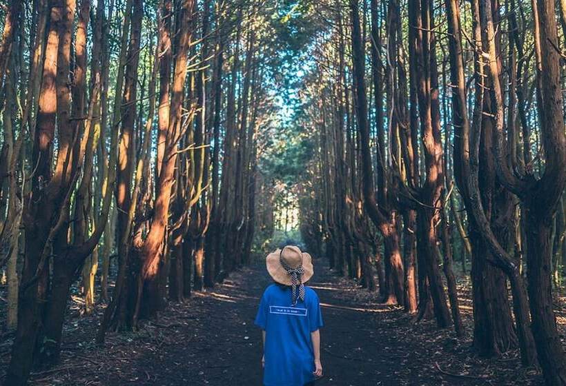 Pension (Hôtel basse catégorie) Woljeongri Sonang Guest House 2