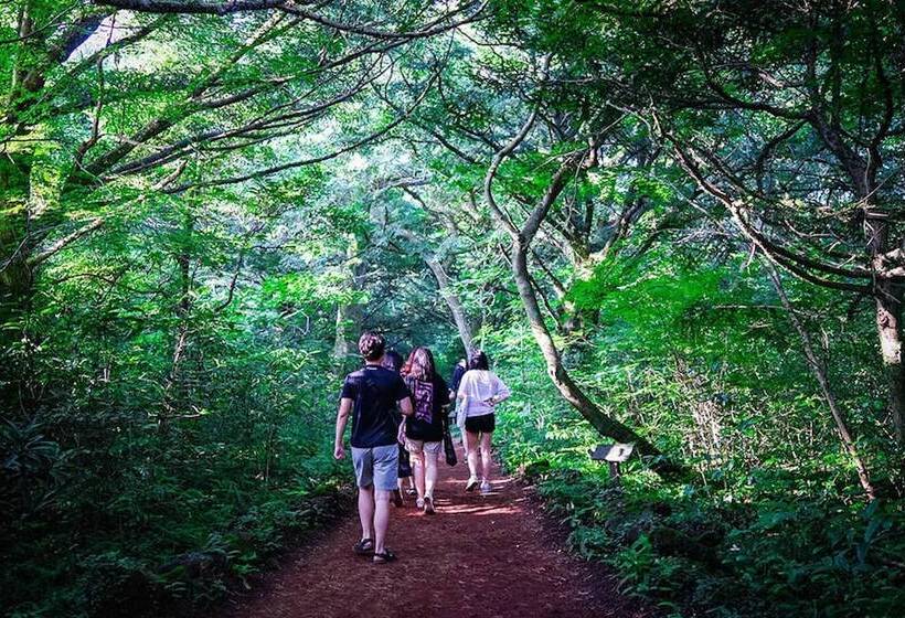 Pension (Hôtel basse catégorie) Woljeongri Sonang Guest House 2