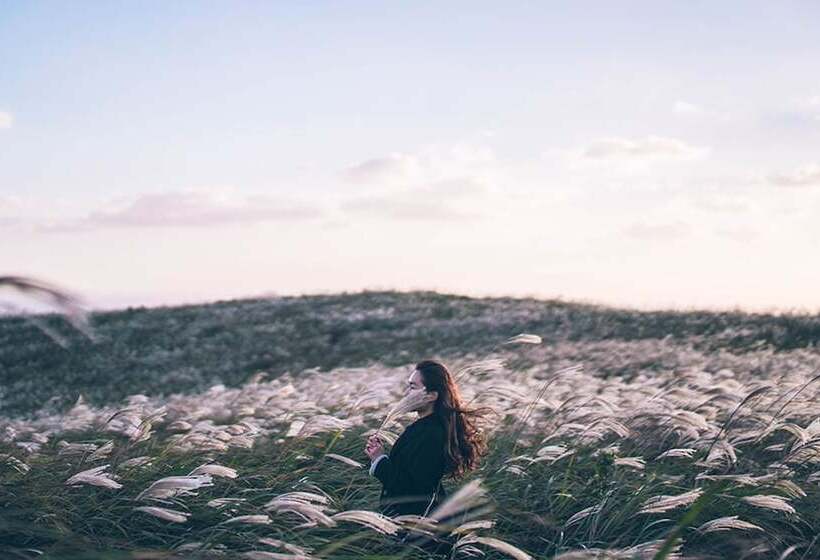 Pension (Hôtel basse catégorie) Woljeongri Sonang Guest House 2