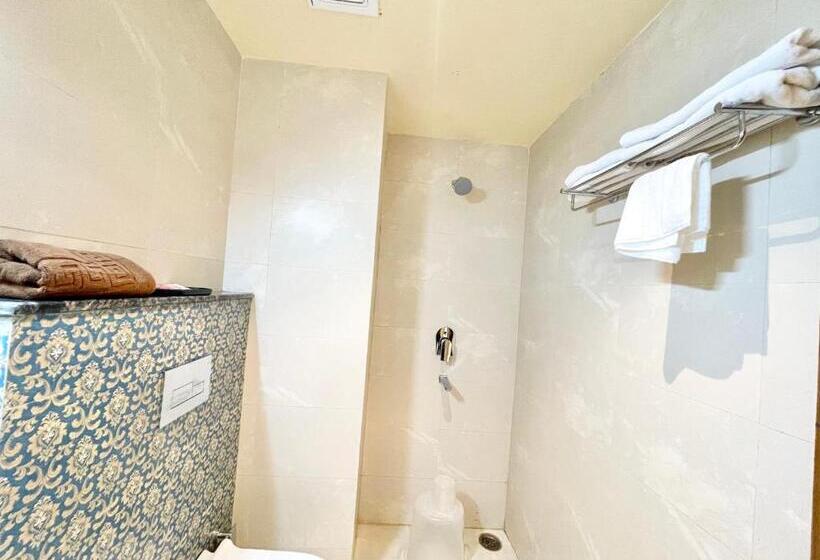 Petal ! Puri होटल पेटल হোটেল পাপড়ি హోటల్ పెటల్ Fully Air Conditioned Hotel With Lift And Parking Ca