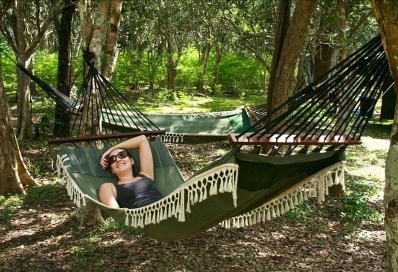 Yala Hotel Lion Air Conditioned Luxury