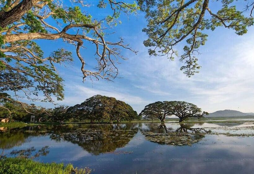 Yala Hotel Lion Air Conditioned Luxury