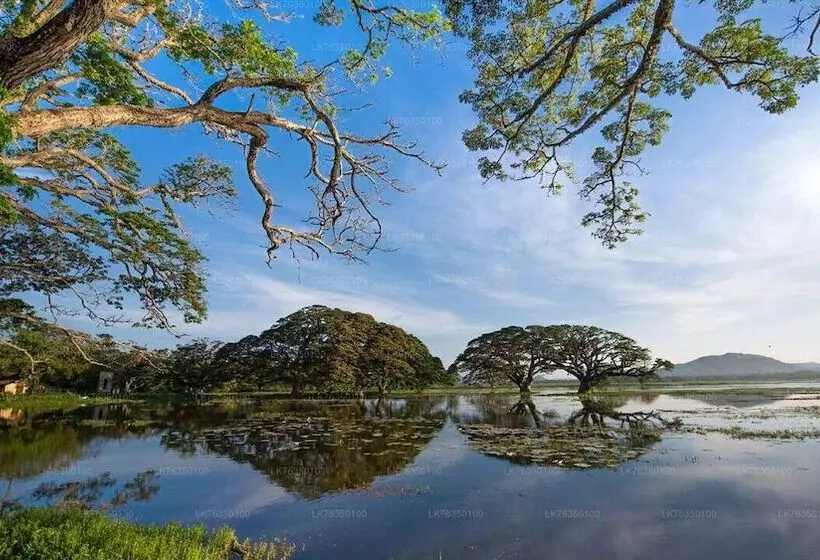 Yala Hotel Lion Air Conditioned Luxury