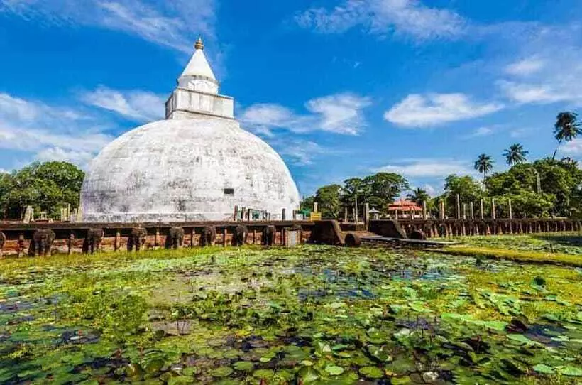 Yala Hotel Lion Air Conditioned Luxury