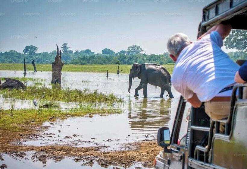 Yala Hotel Lion Air Conditioned Luxury