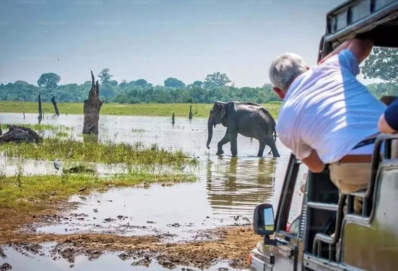 Yala Hotel Lion Air Conditioned Luxury