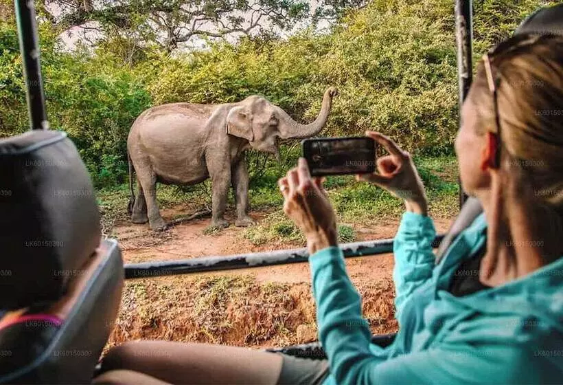 Yala Hotel Lion Air Conditioned Luxury