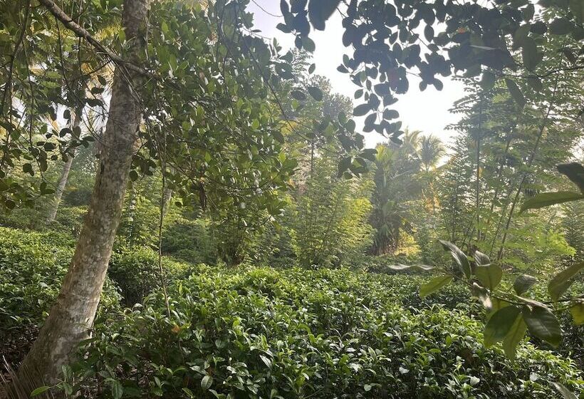 בית מלון כפרי Samalanka Boutique