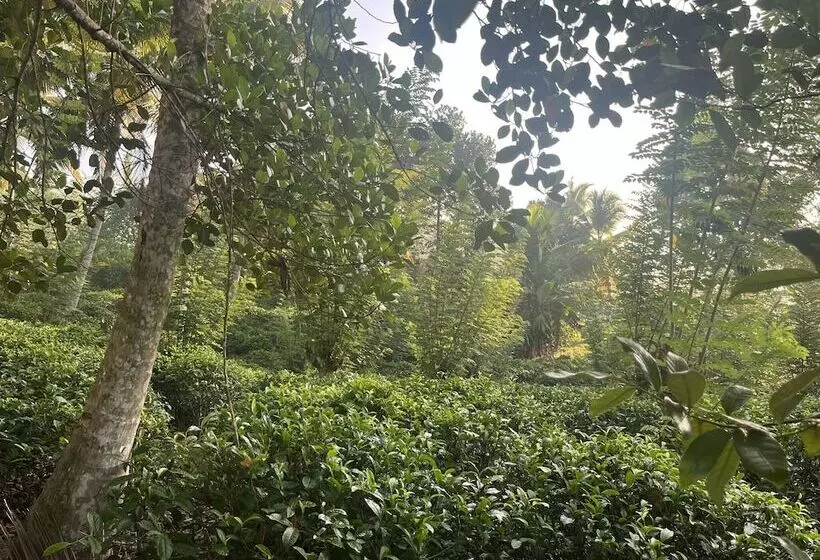 Hotelli Samalanka Boutique