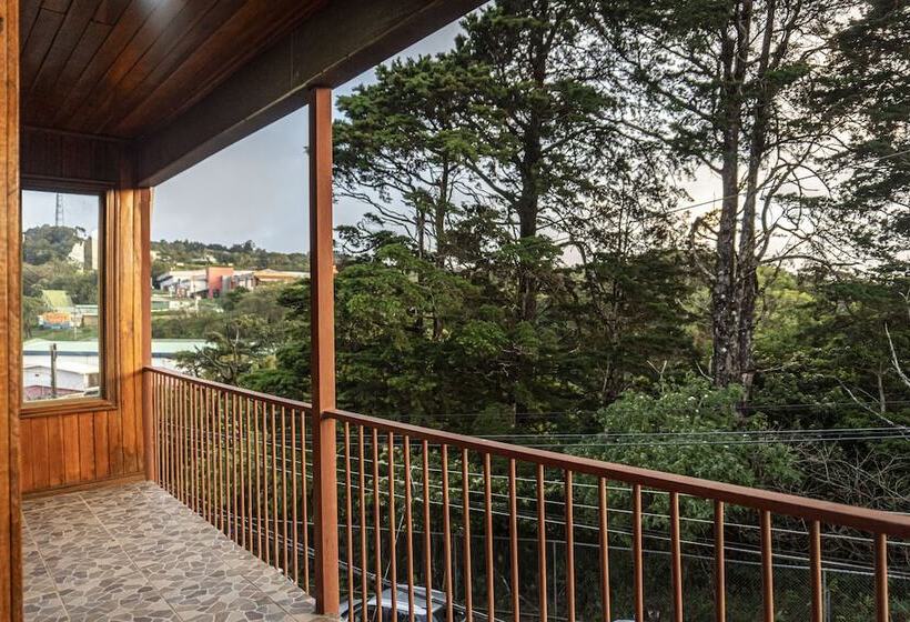 酒店 Casa Del Carmen