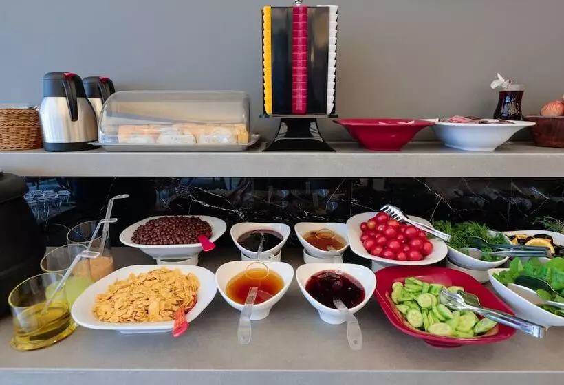 هتل Silver İnn Spa