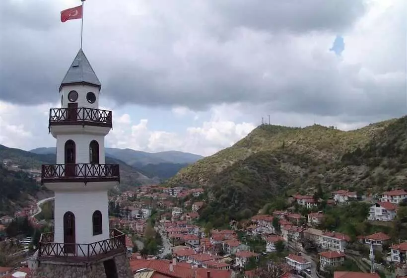 هتل Silver İnn Spa